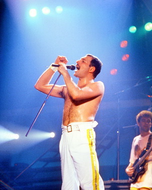 freddie-img-qn-13-04-1