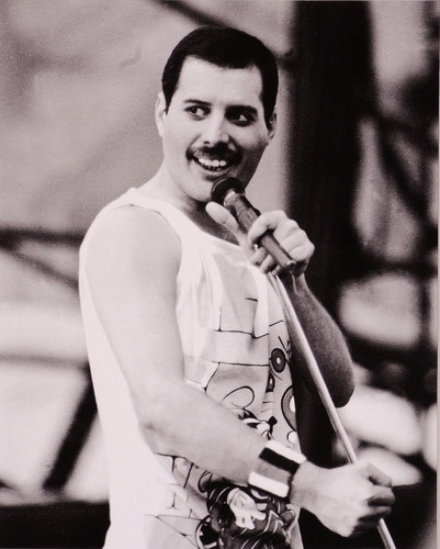 freddie-img-qn-13-04-2